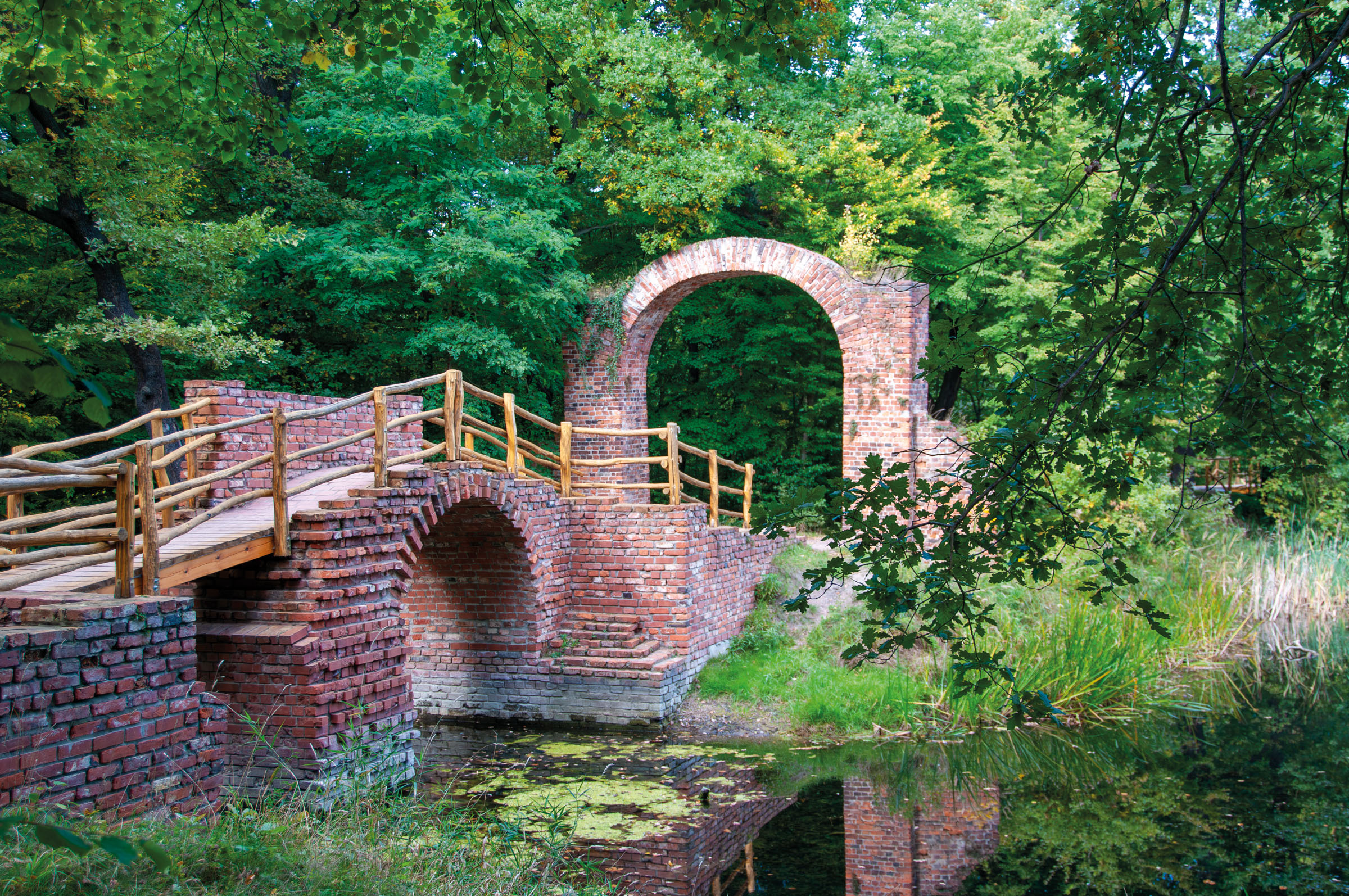 Ponte in mattoni con parapetto di legno su uno stagno del Georgium, con un arco coperto di muschio nel bosco sullo sfondo