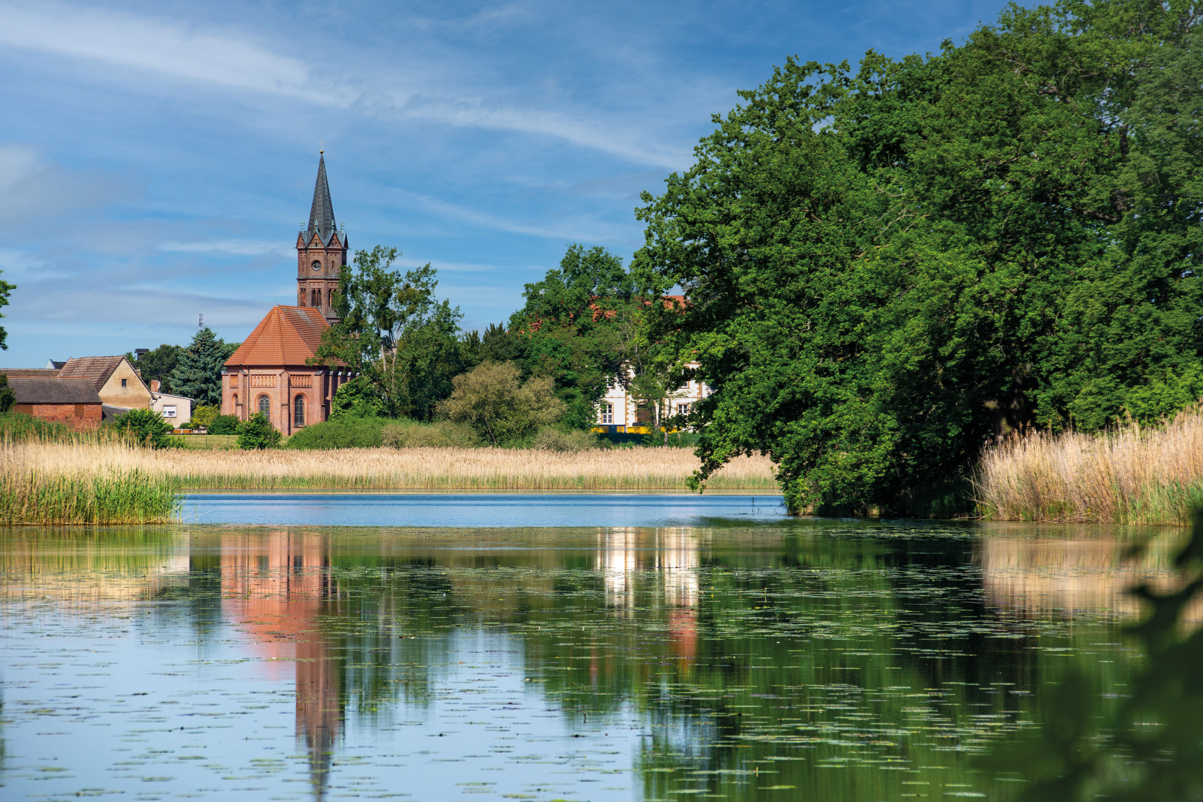 Chiesa del paese con torre rossa sul lago di Kühnau, riflesso nell’acqua e canneti sulla riva