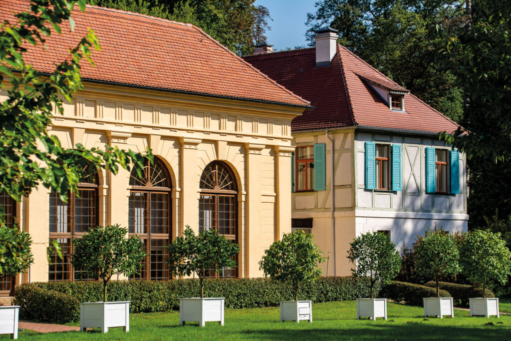 Orangerie du Luisium aux fenêtres en plein cintre ; devant, des agrumes dans des bacs blancs sur la pelouse