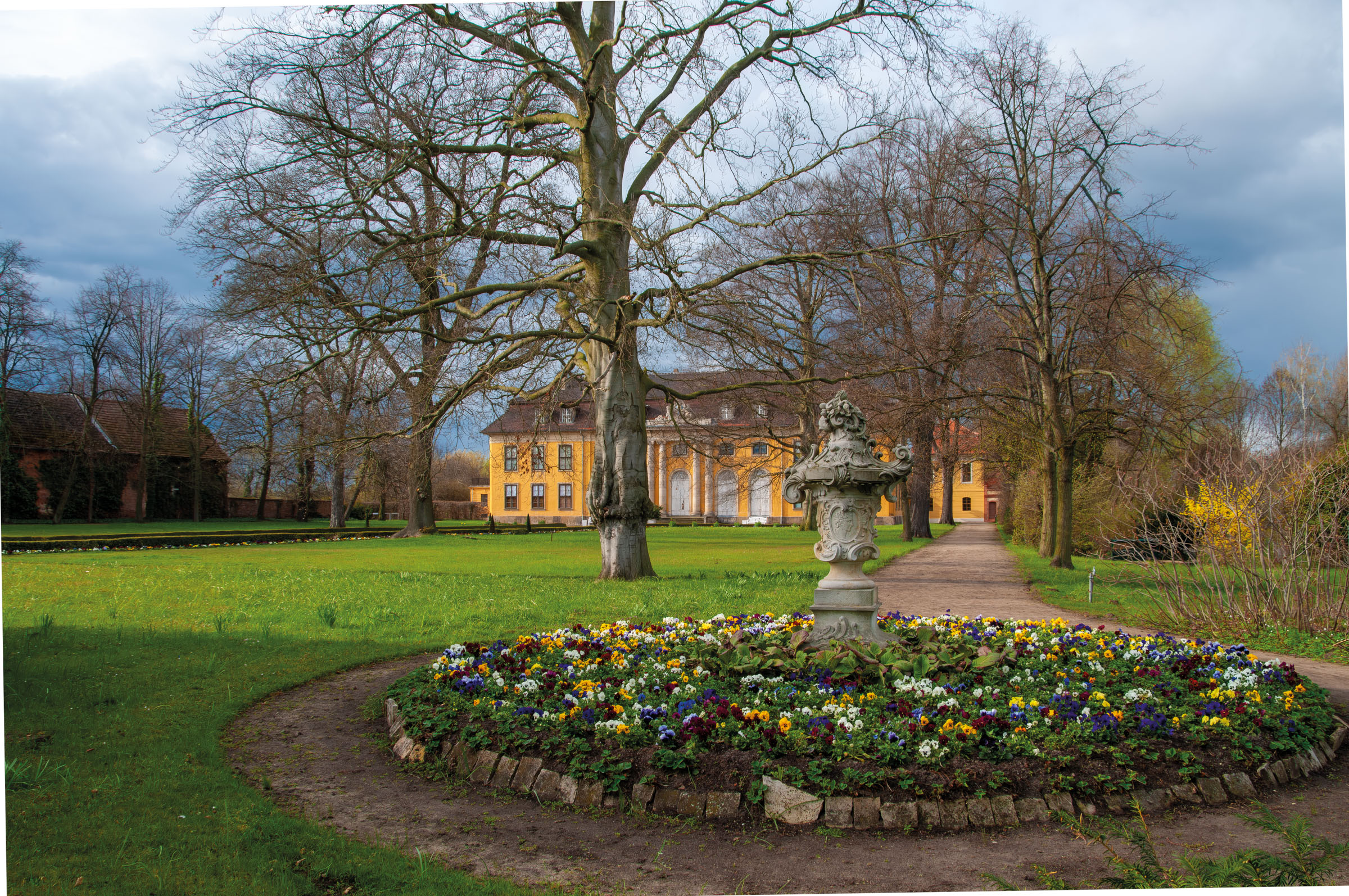 Palazzo di Mosigkau, edificio giallo dietro alberi spogli, con un’aiuola circolare di fiori primaverili e un’urna di pietra su piedistallo in primo piano