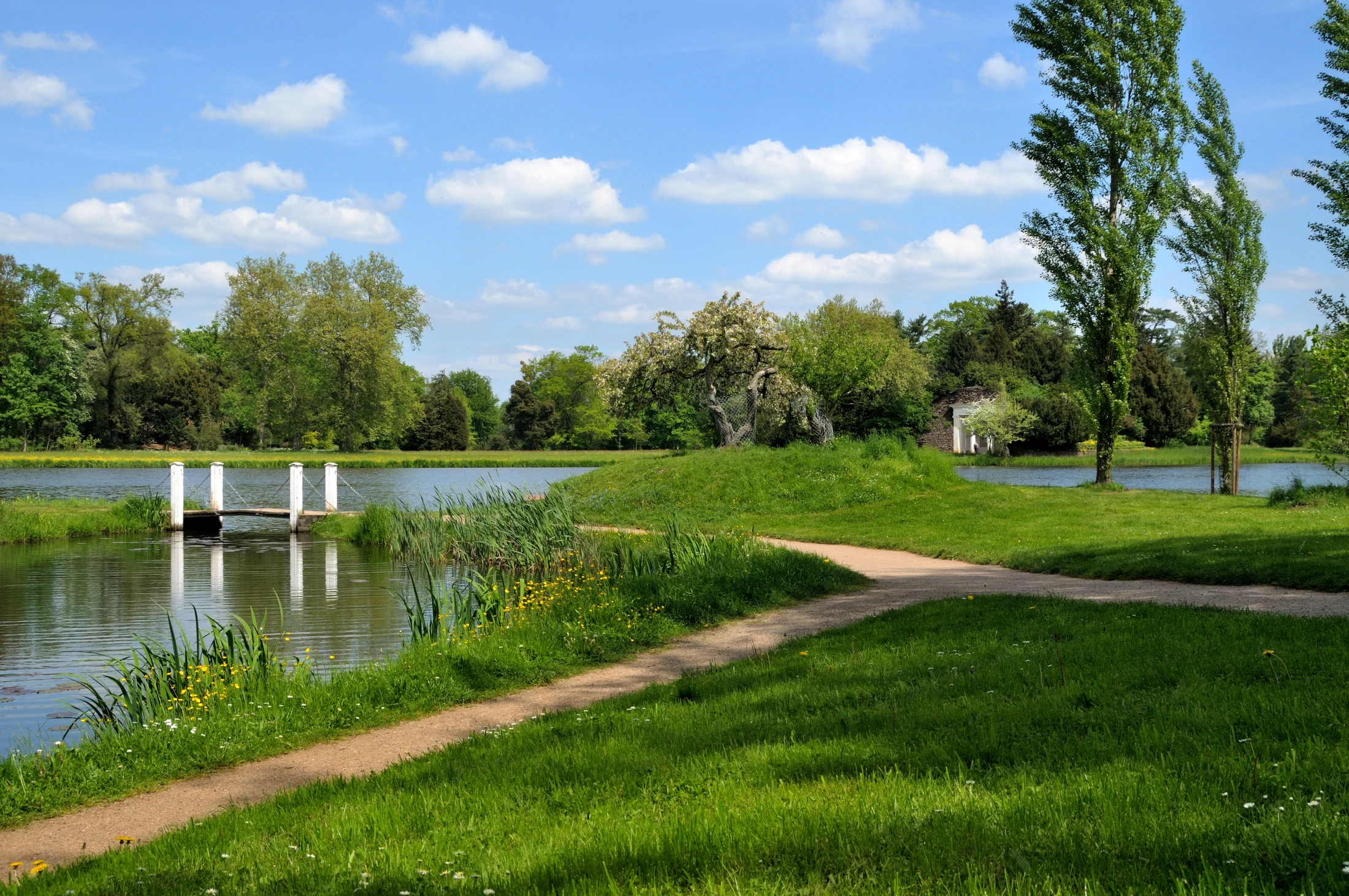 Curving path, small bridge and stretches of water at the Swan Pond in Wörlitz Park
